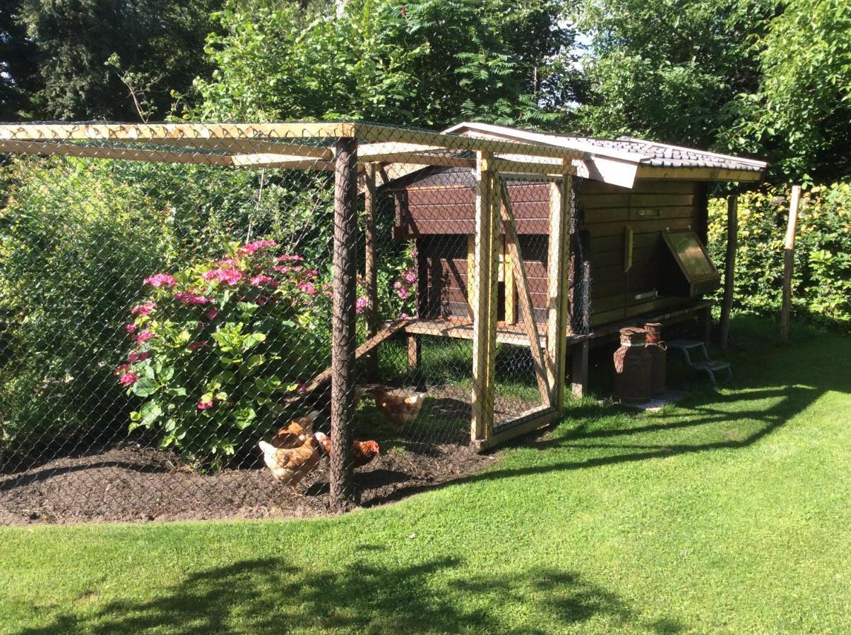Giethoorn Lodge Zewnętrze zdjęcie