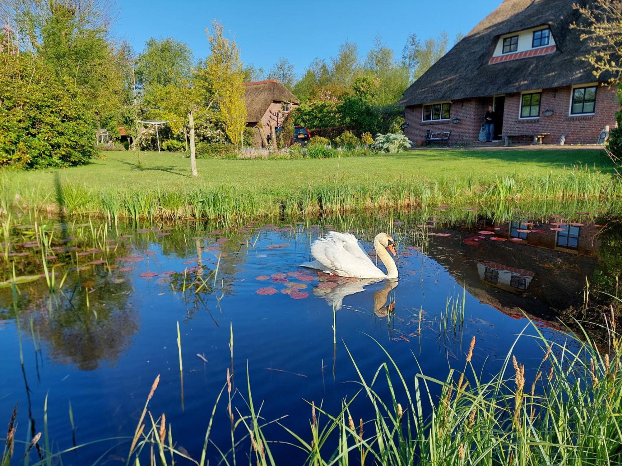 Giethoorn Lodge Zewnętrze zdjęcie
